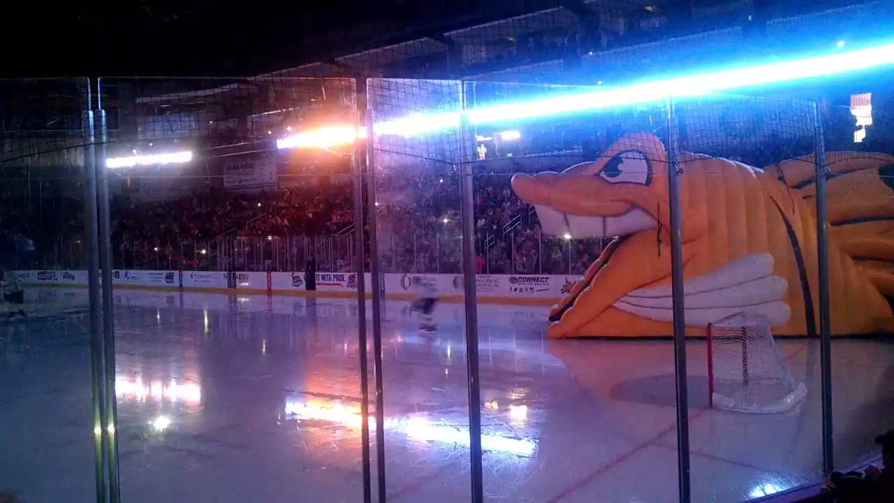 Toledo Walleye performing live