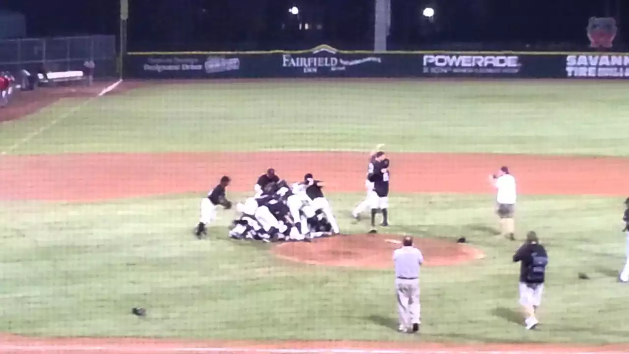 Savannah Sand Gnats performing live