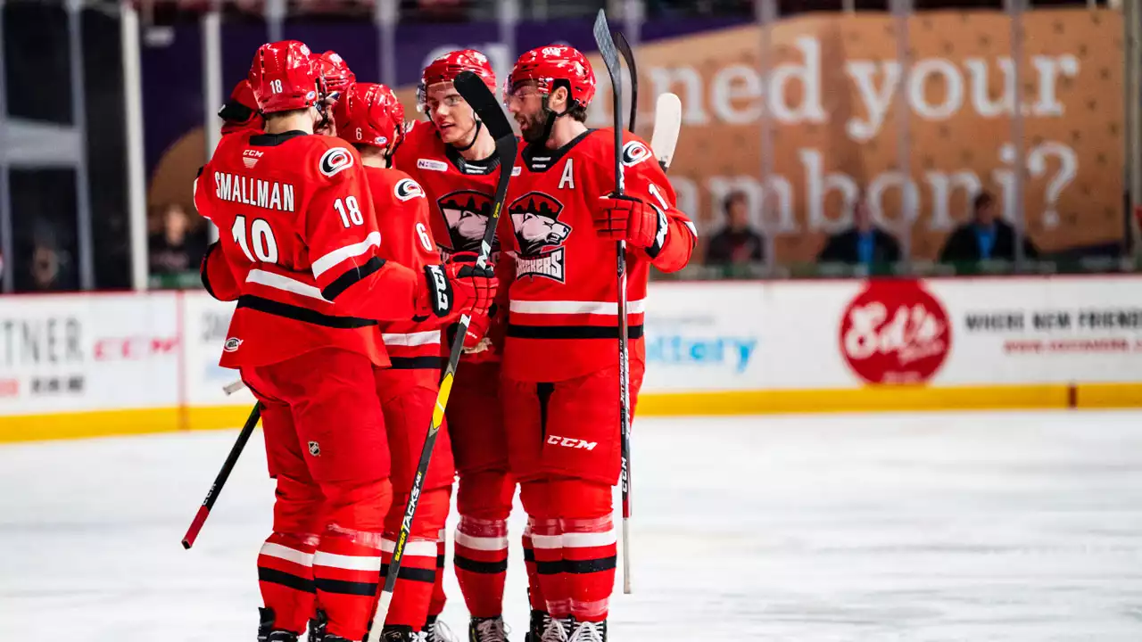 Rochester Americans at Charlotte Checkers performing live at Bojangles Coliseum.