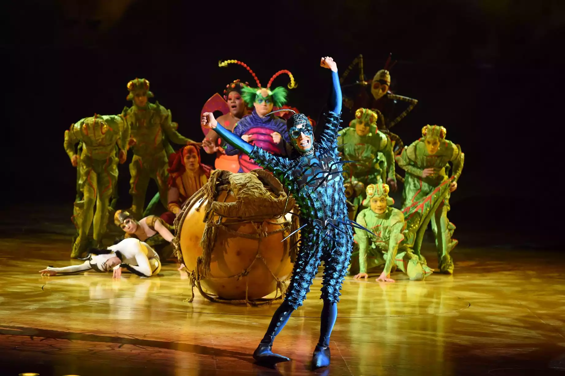 Cirque du Soleil: Ovo performing live at Under The Big Top - Toronto.