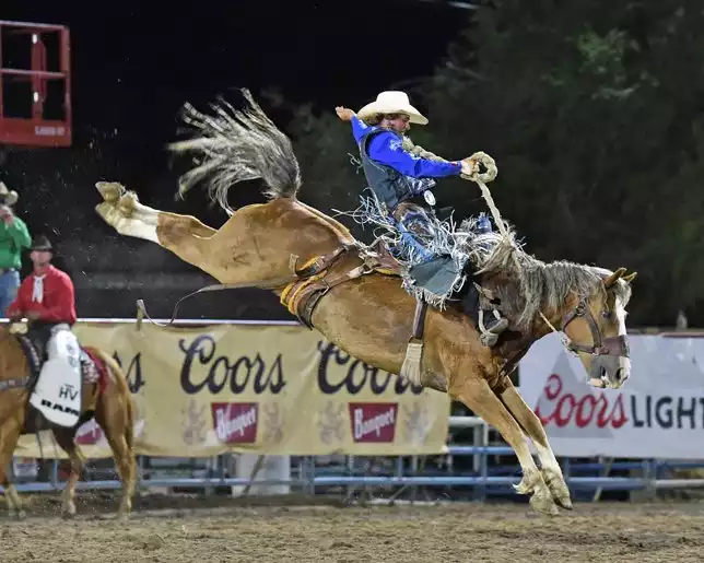 Worlds Oldest Rodeo performing live at Prescott Frontier Days, Inc. - World's Oldest Rodeo.